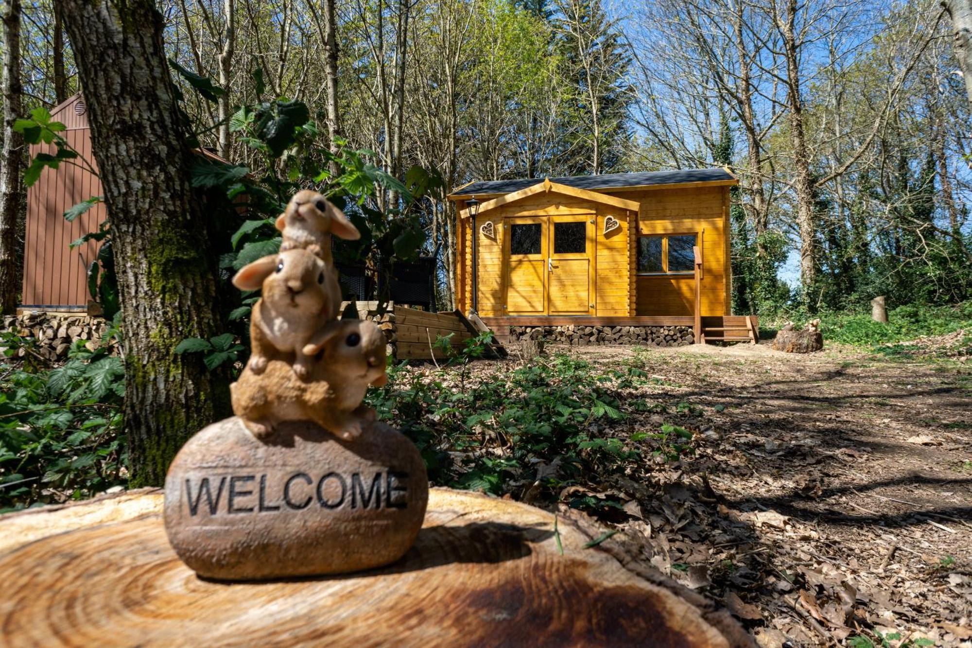 Cabane Insolite Avec Escape Game Saint-Evarzec Ngoại thất bức ảnh